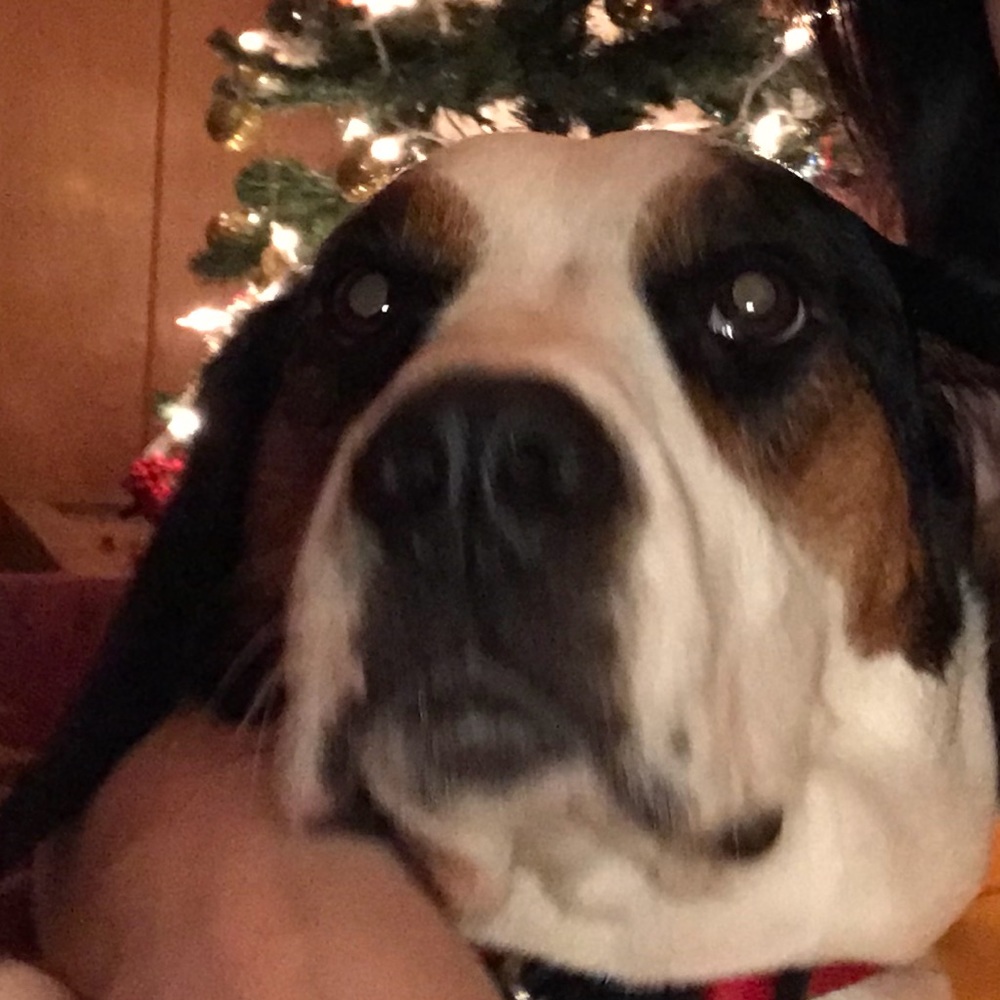 Meet your Posher, Marina-pasha